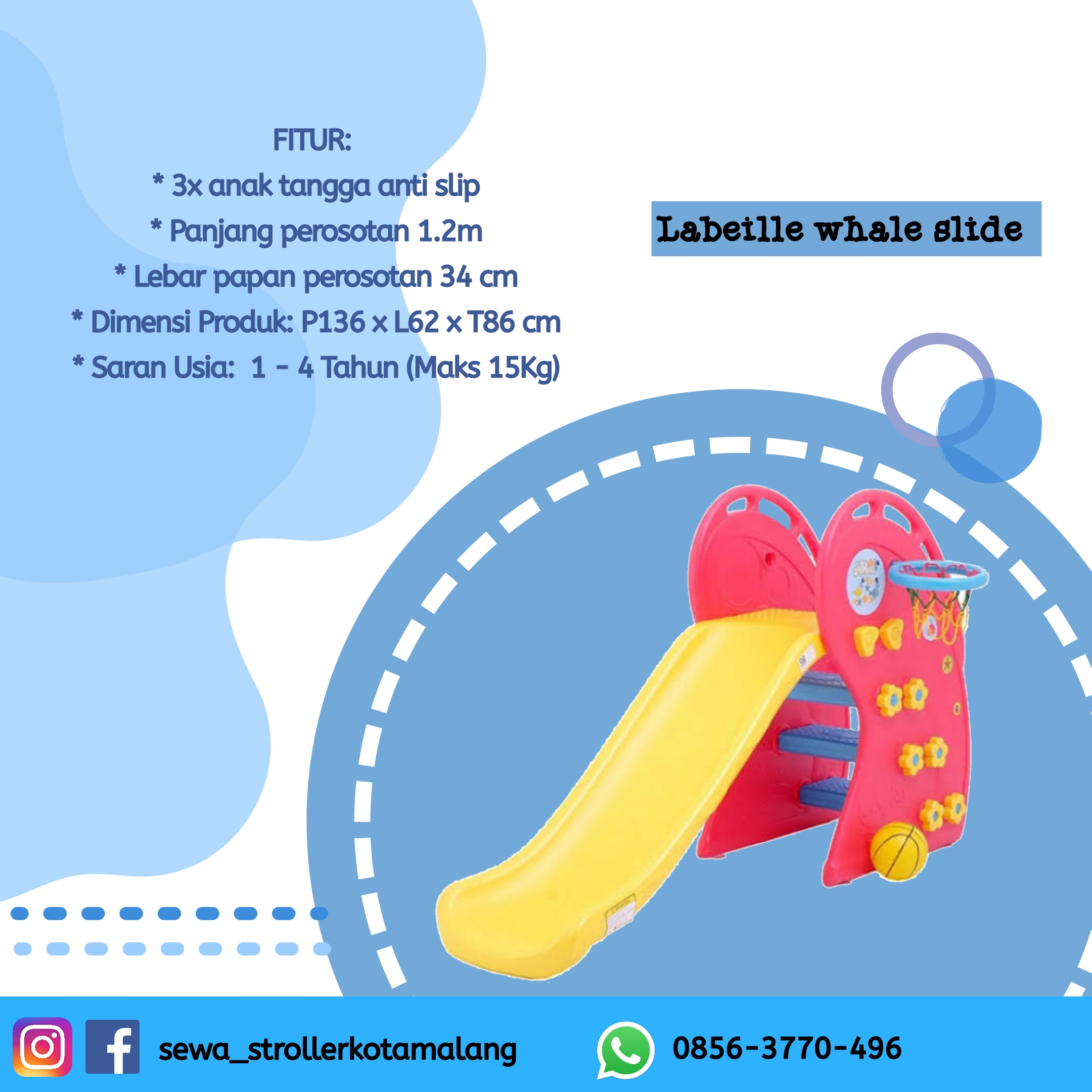 WHALE SLIDE